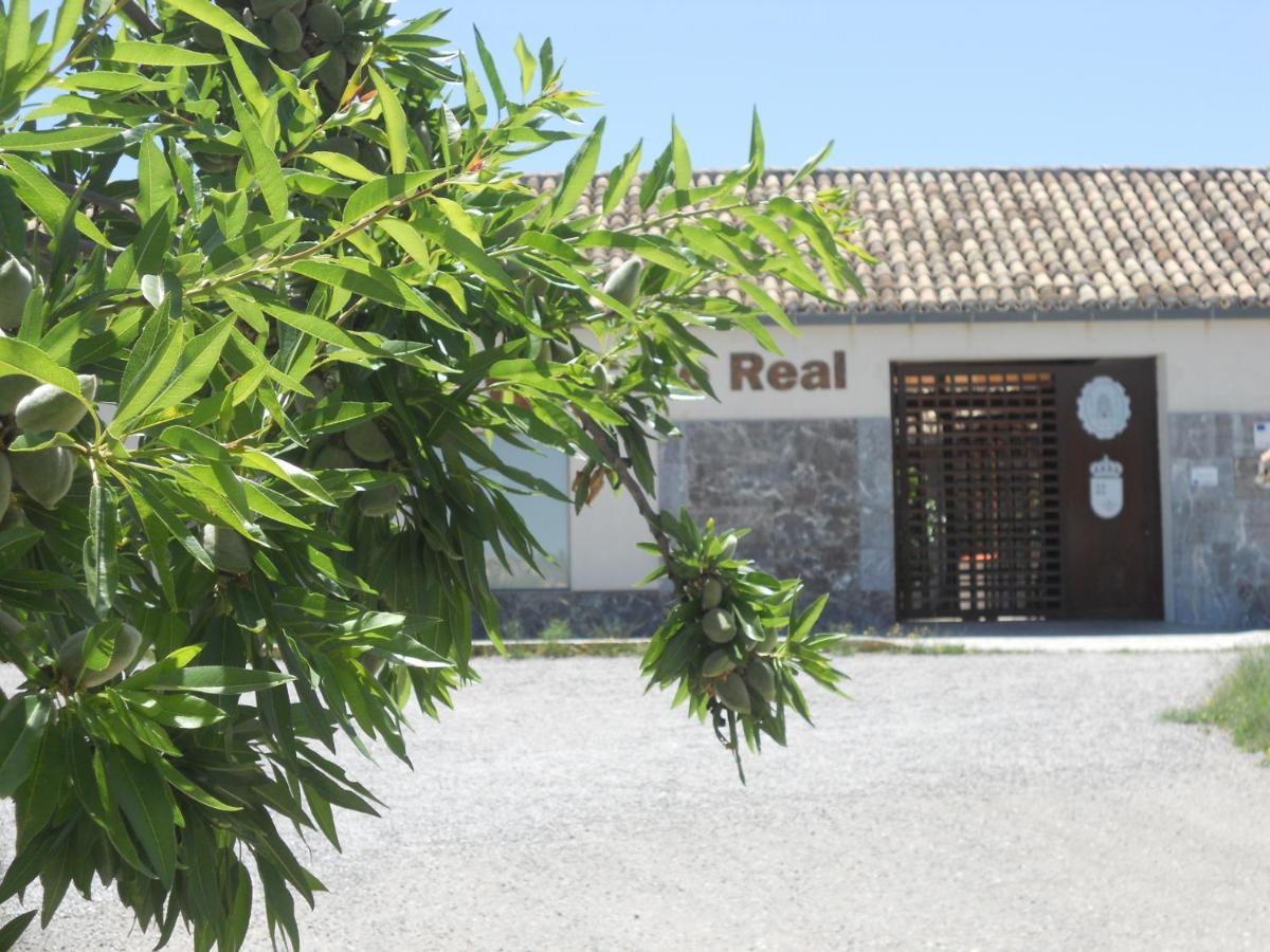 Albergue Coto Real De La Marina Cehegin Ngoại thất bức ảnh